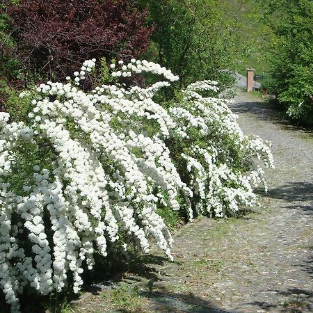 Cascina Nel Bosco Bed & Breakfast Moncucco Torinese Luaran gambar